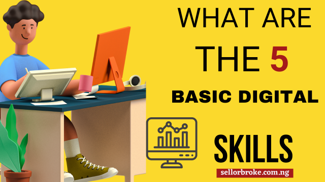 What Are the 5 basic digital Skills